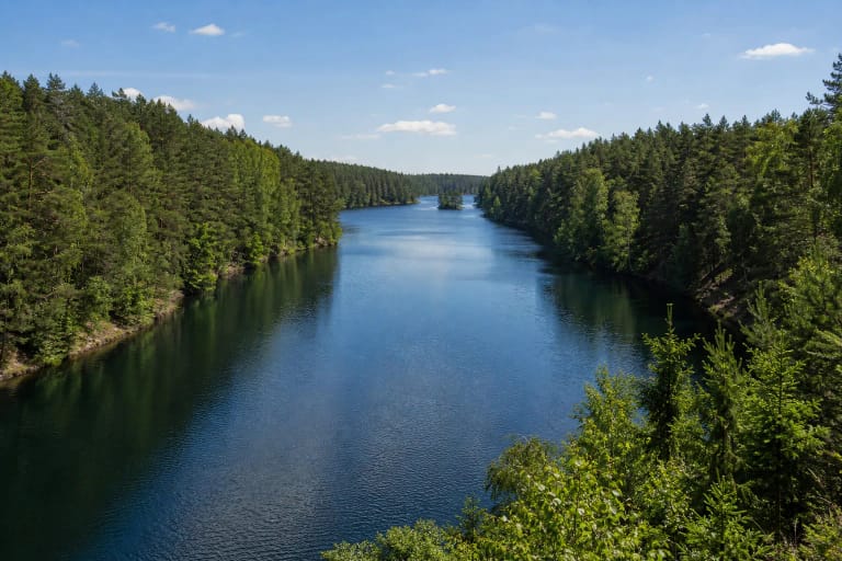 Ilgas siauras Aiseto ežeras tarp stačių pušimis ir beržais apaugusių krantų