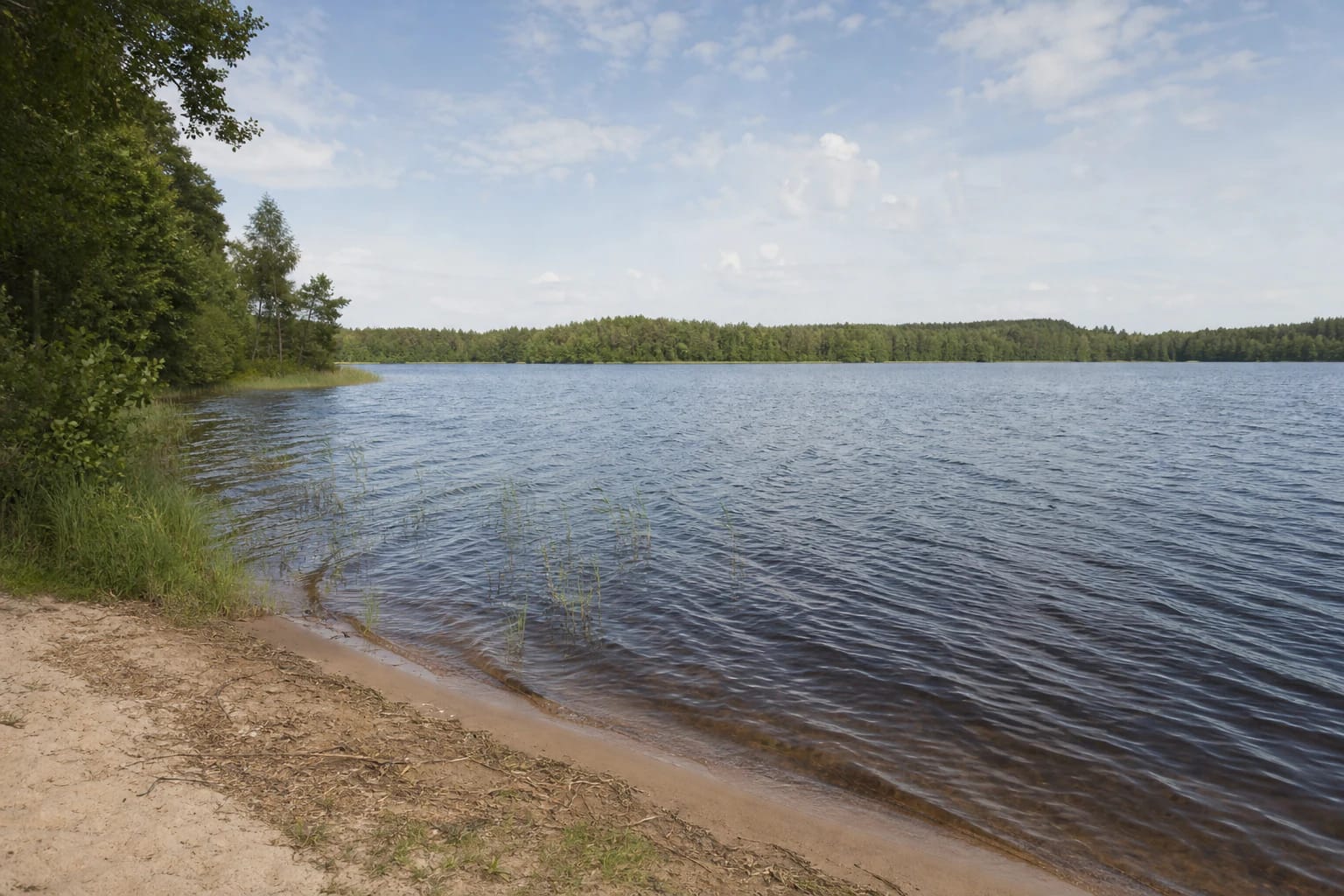 Alaušų ežero platus vandens plotas, smėlėta nendrėta pakrantė ir miškingas tolimasis krantas