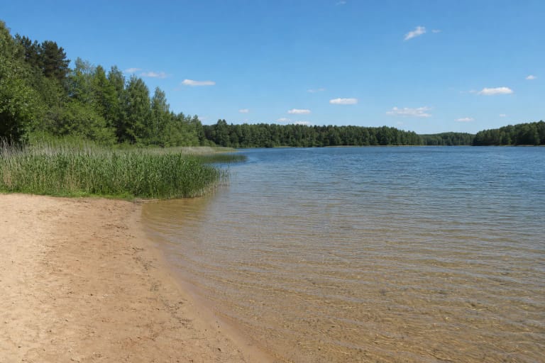 Sudeikių paplūdimio smėlis ir seklus Alaušo ežero vanduo su nendrynais bei miškingu krantu