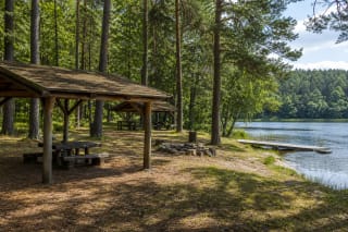 Almajo Campsite woodland clearing with a timber shelter, fire pit, pier, and lakeshore