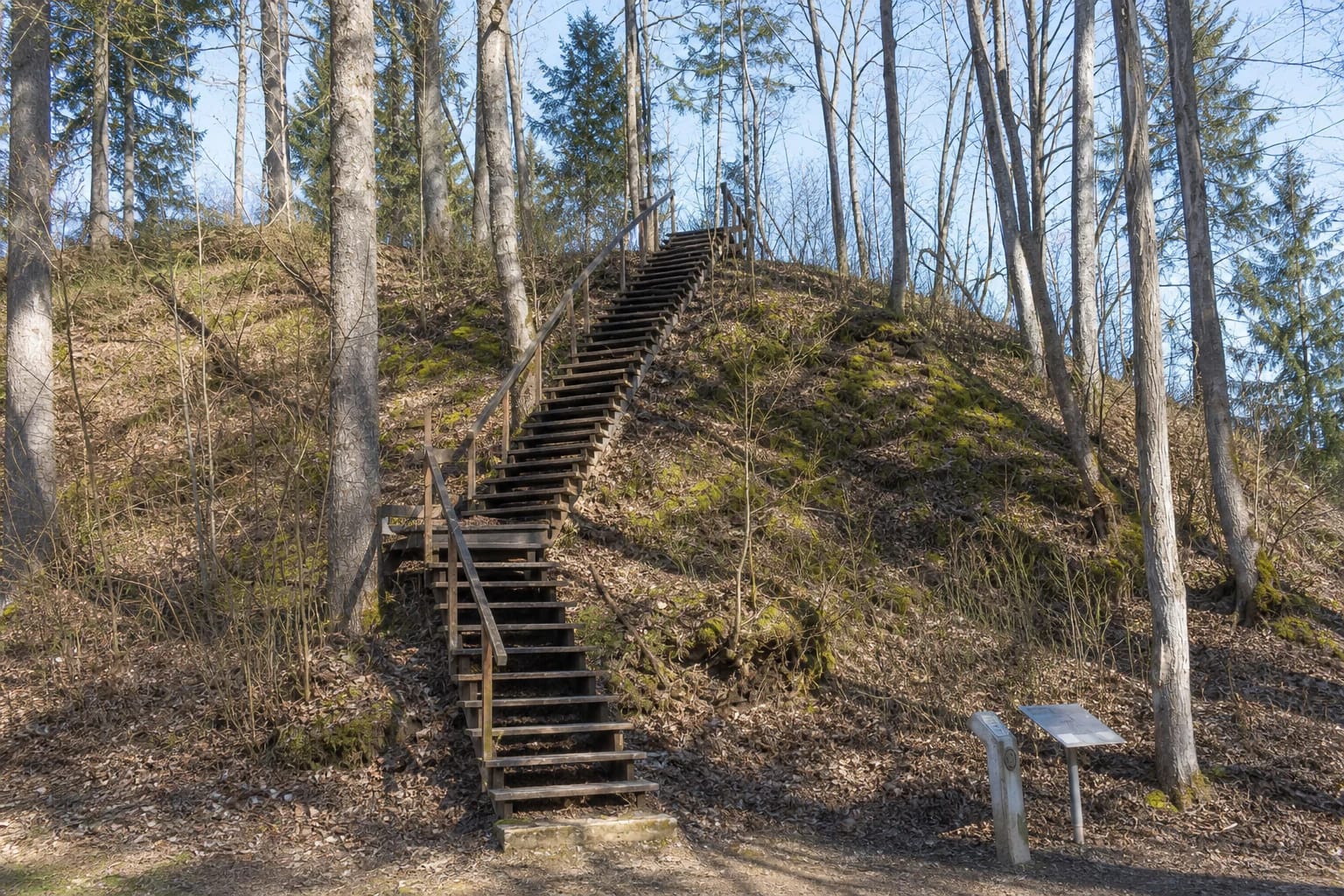 Long wooden steps climbing the steep wooded slope of Altoniškiai Hillfort in early spring
