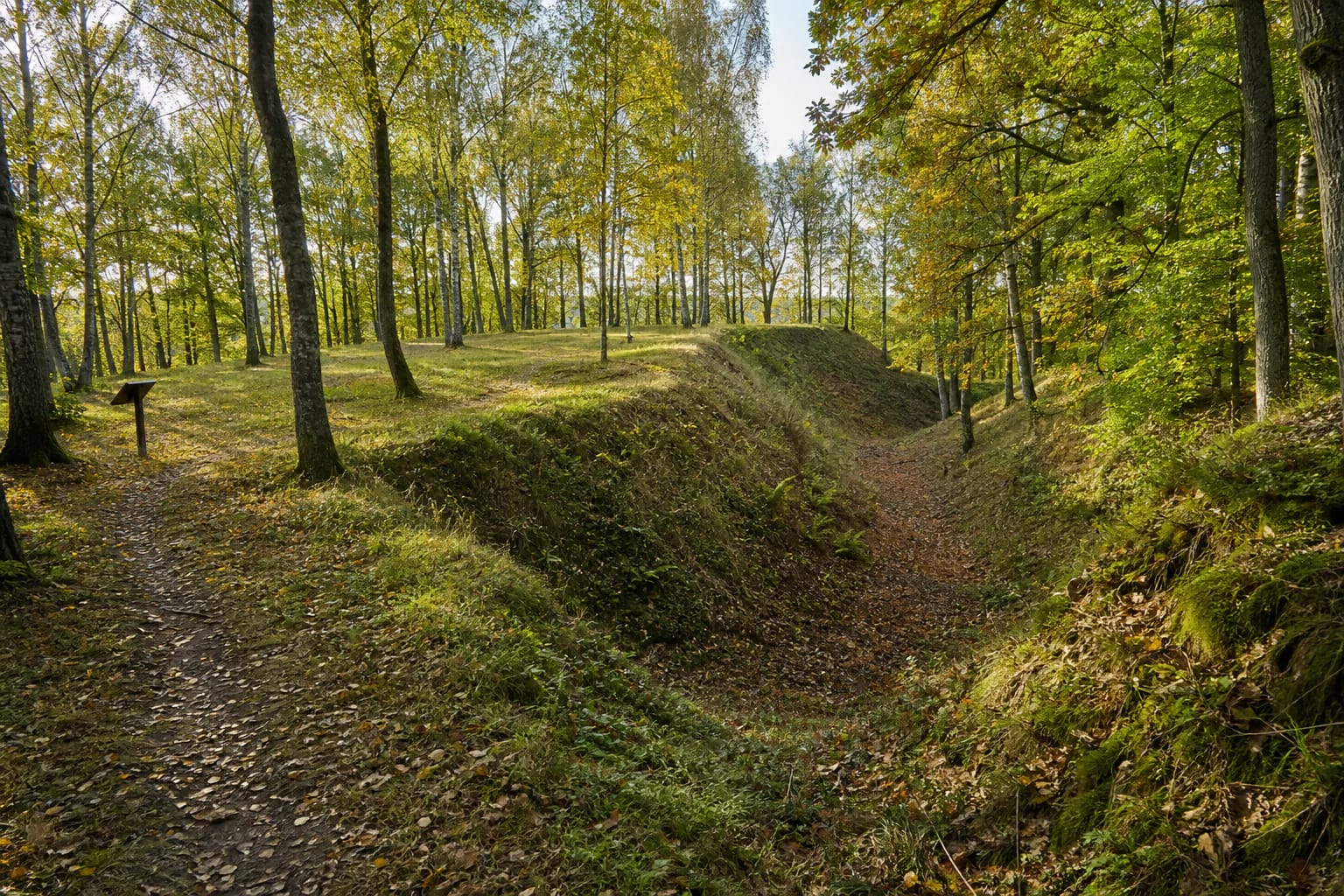 Wooded summit, defensive rampart, and leaf-covered ditch at Anduliai Hillfort