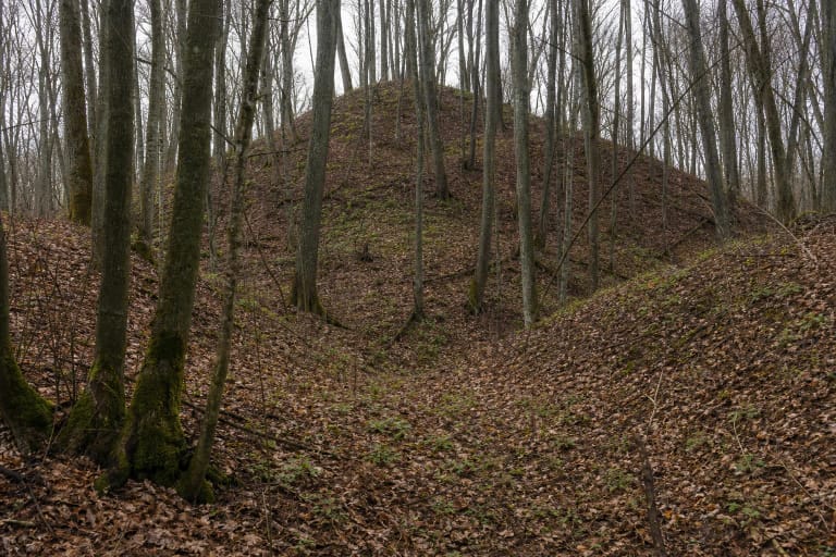 The massive leaf-covered clay bank of Aniškis Hillfort among deciduous trunks in Aniškis Forest