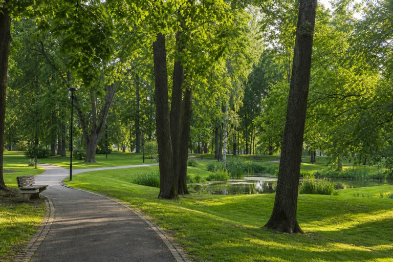 Curving paths among mature deciduous trees, green lawn, benches, and a small water feature in Anykščiai City Park in summer