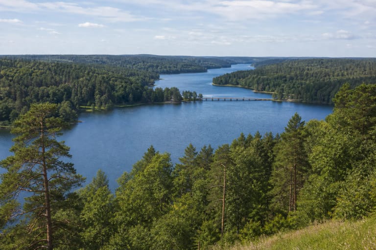 Asvejos ežeras prie Dubingių su ilgu siauru vandens ruožu, miškingais krantais ir tiltu