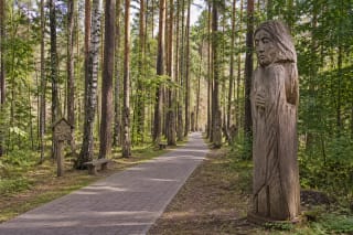 Лесная дорожка между дубовыми скульптурами Тропы памяти в Бирштонасе