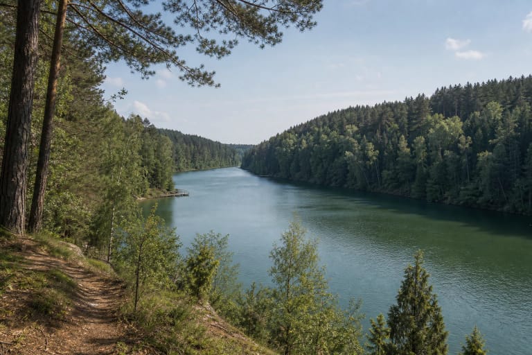 Balsio ežero žalsvas vanduo tarp stačių mišku apaugusių krantų nuo pakrantės tako