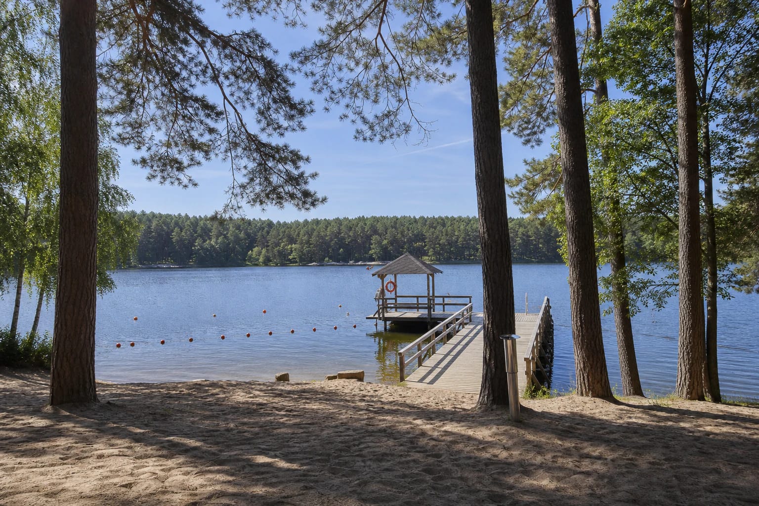 The sandy shore, pine woodland, and pier with a roofed lifeguard station at Balžis Beach II