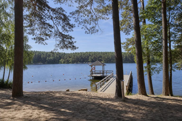 The sandy shore, pine woodland, and pier with a roofed lifeguard station at Balžis Beach II