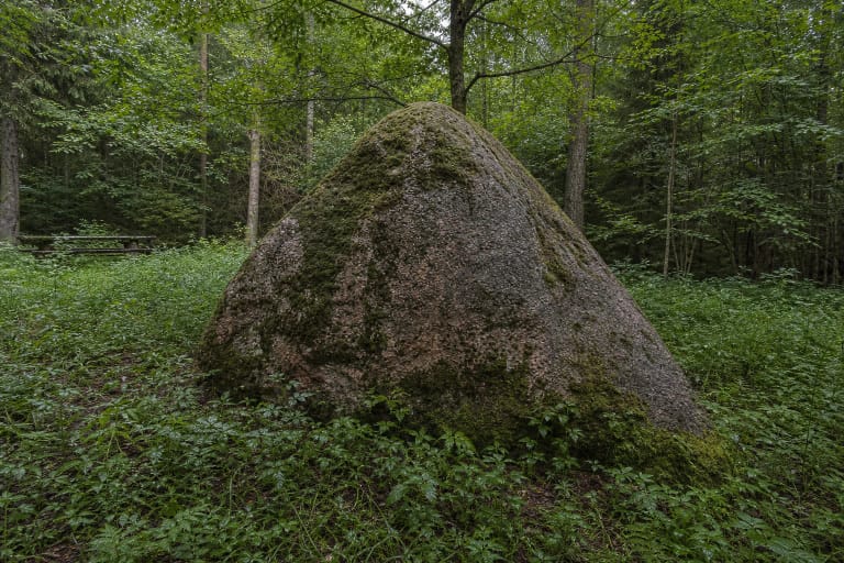Moss- and lichen-covered, gable-roof-shaped Barbora Boulder in damp Butleriškiai Forest