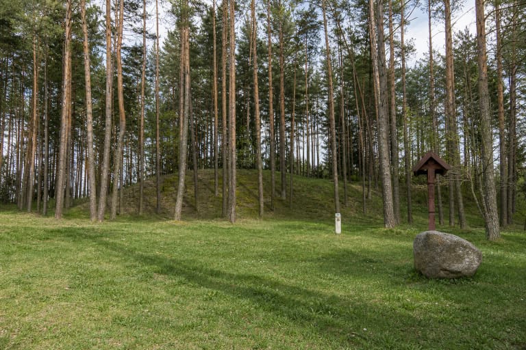Pine-covered Barčiai Hillfort seen from its grassy foot, with the timber cross commemorating Juozas Ulbinas on the right