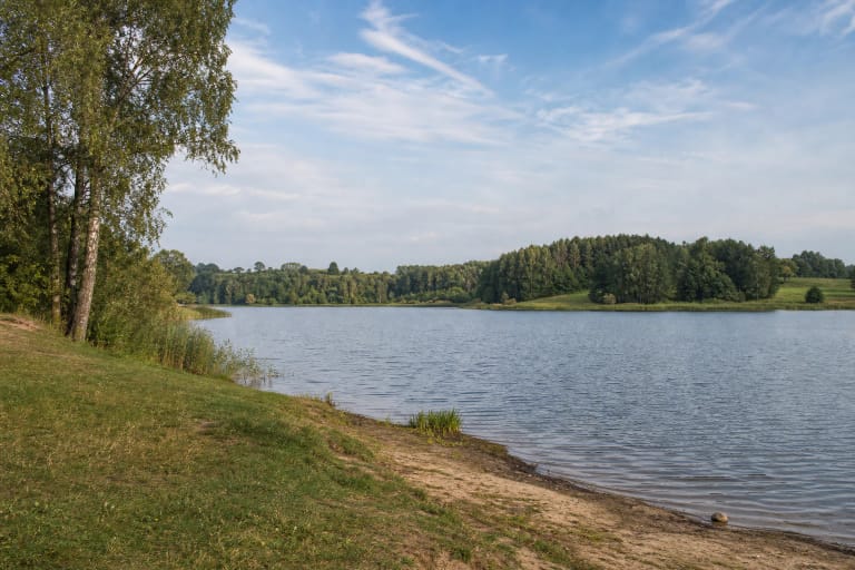 Calm Bartkuškis Pond with a grassy bank, birches, reeds, and a wooded rural opposite shore
