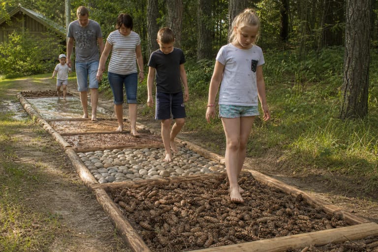 Basomis per kankorėžių, medžio ir molio atkarpas Survilų sodybos miške einanti šeima, šalia vingiuoja 2 km jutiminis takas