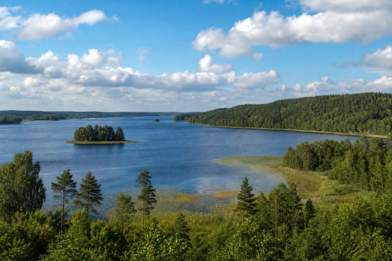 Bebrusų ežeras su miškinga sala, nendrių pakrante ir aukštu rytiniu krantu