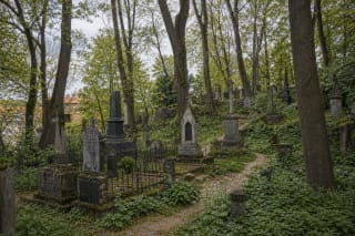 Path through Bernardine Cemetery in Vilnius with old gravestones, trees, and the slope of Užupis
