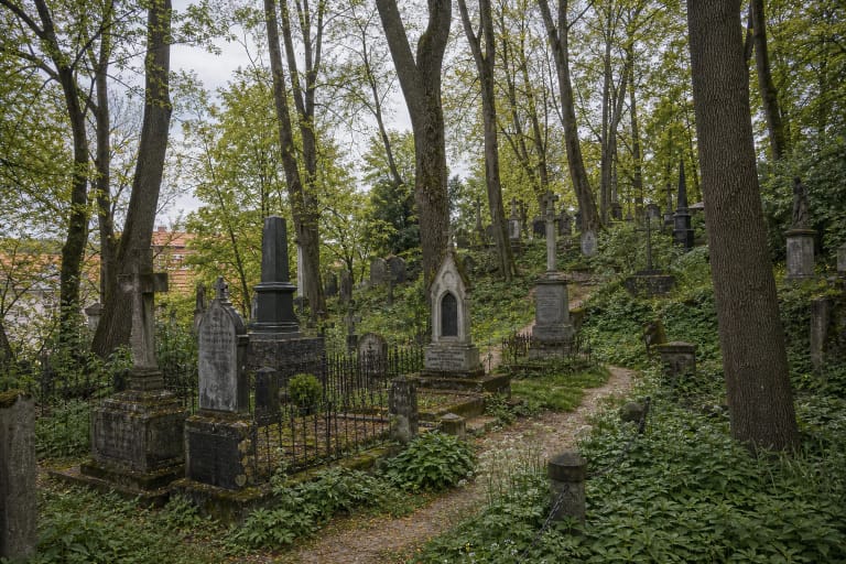 Bernardinų kapinių Vilniuje takas su senais antkapiais, medžiais ir Užupio šlaito reljefu