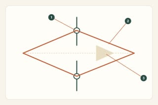 Originali pažintinė schema: nytys, sunumeruoti sandaros požymiai