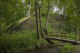 Žalias Daubarių I piliakalnis su mediniais laiptais ir tiltu per Viešetės upelį