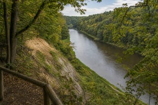 Nuo medine tvorele aptvertos Dauginčių atodangos regyklos matomas platus miškingas Minijos vingis ir 22 metrų skardis