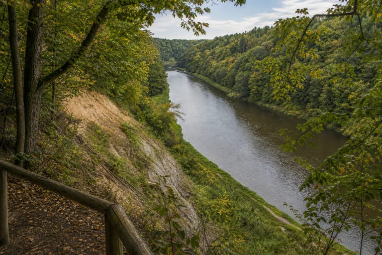 Broad wooded bend of the Minija and its 22-metre cliff seen from the timber-railed viewpoint above Dauginčiai Outcrop