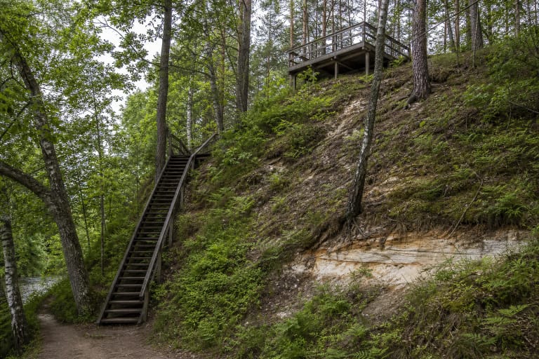 Forested sandy slope at Daumantai Outcrop with wooden stairs and a viewing platform above