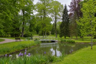 A pond, low white metal footbridge, and mature dendrological tree collection in Degaičiai Manor Estate Park