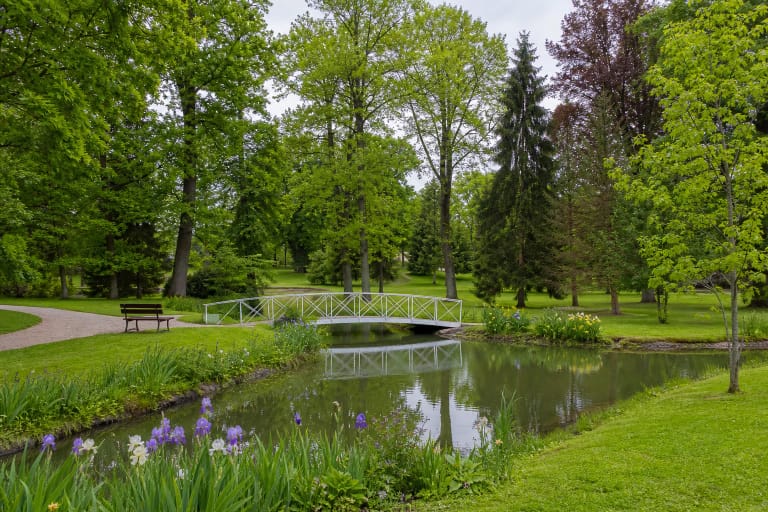 A pond, low white metal footbridge, and mature dendrological tree collection in Degaičiai Manor Estate Park