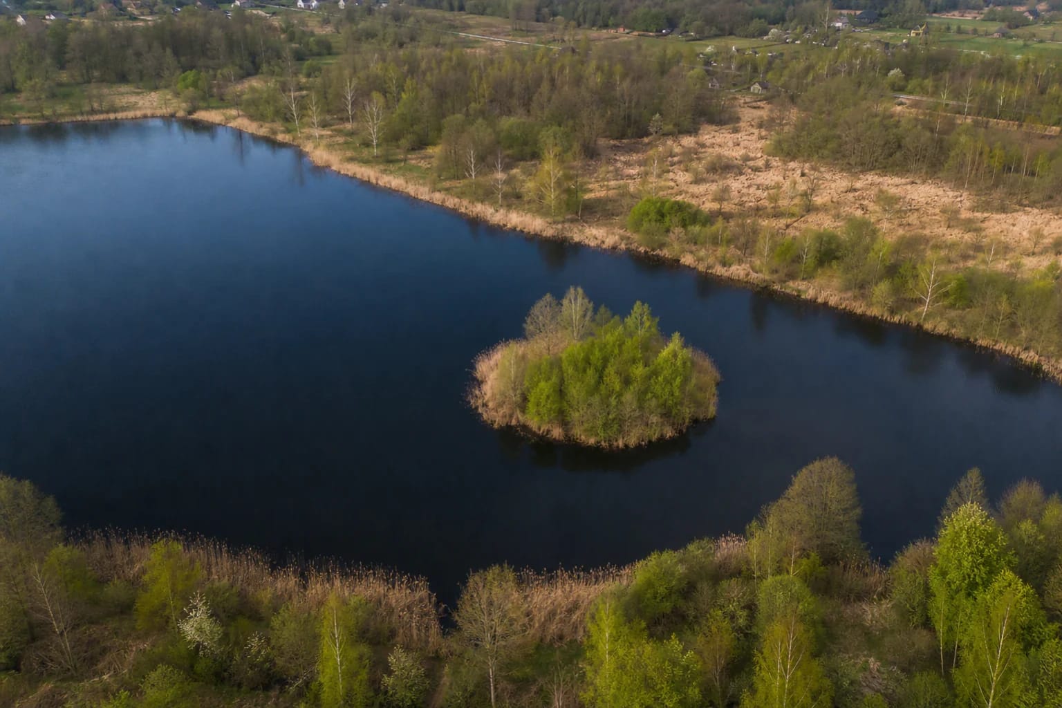 Aerial view of dark water at Dercekliai Pond, its small wooded island, and natural grassy shores