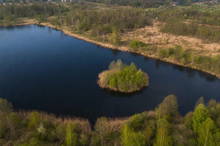 Derceklių tvenkinys iš oro su tamsiu vandeniu, maža medžiais apaugusia sala ir natūraliais žolingais krantais