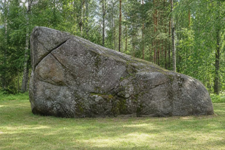Grey-brown Great Boulder of Dzūkija covered with lichen and moss in a grassy clearing among the pines of Noškūnai Forest