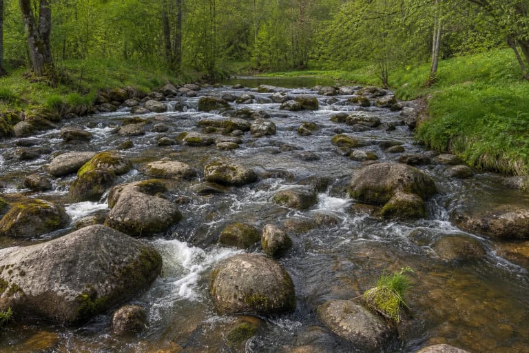 Swift Akmena River flowing through a dense forest boulder field of varied stone sizes