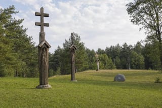 Деревянные кресты партизанского парка округа Великой борьбы на покрытом травой склоне среди сосен