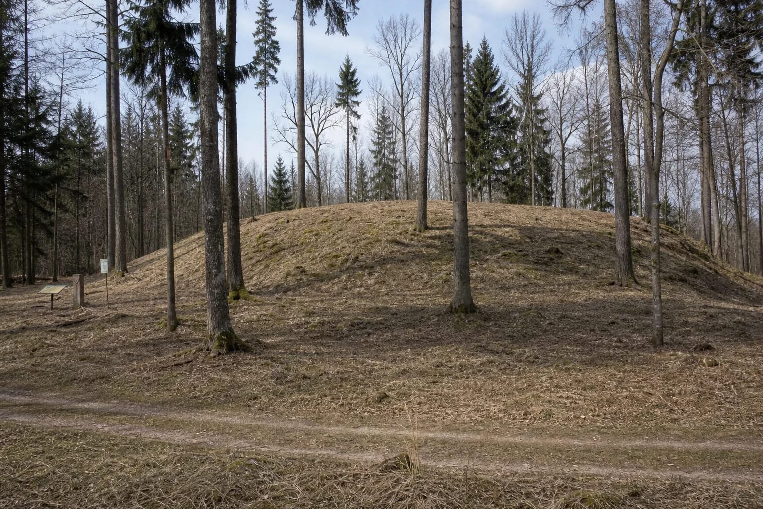 The open rounded bank of Dirmiškiai Hillfort in a leafless forest with two small signs at its foot