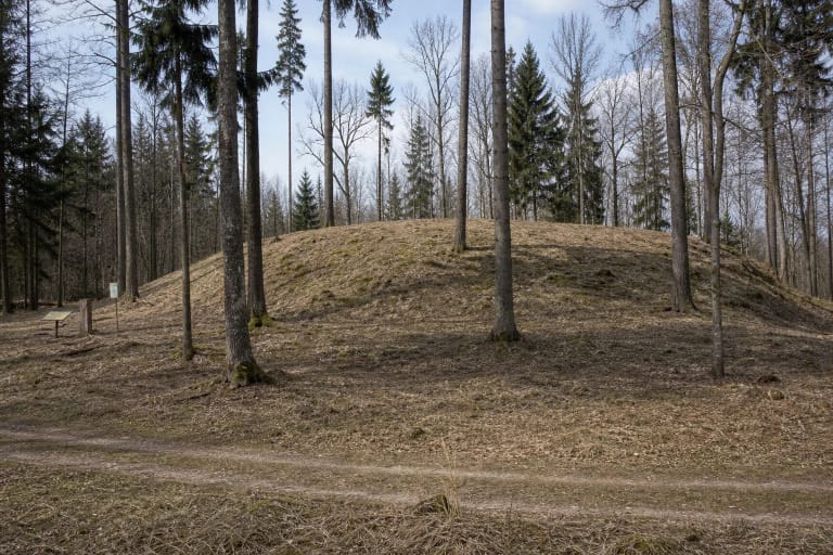 Belapiame miške iškilęs atviras apvalus Dirmiškių piliakalnio pylimas su dviem mažais ženklais papėdėje
