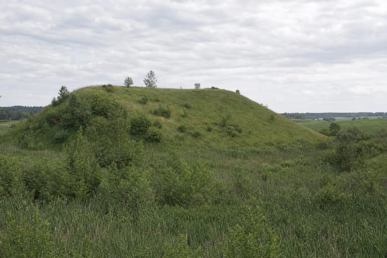 Atviras žolėtas Dirvonų piliakalnio pietryčių šlaitas virš krūmais apaugusios šlapios daubos Sūduvos laukuose
