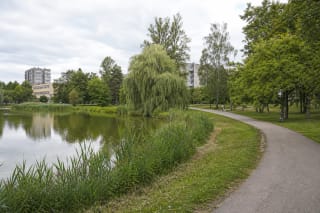 A pond, reed-lined shore, curving path and trees in Friendship Park among southern Klaipėda apartment blocks