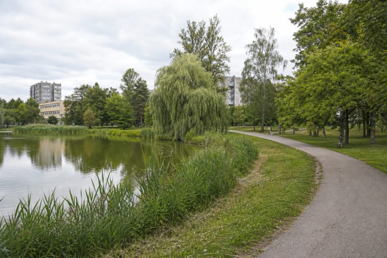 A pond, reed-lined shore, curving path and trees in Friendship Park among southern Klaipėda apartment blocks
