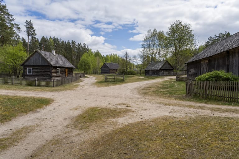 Dubininko kaimo smėlėta aikštė, medinės sodybos ir Dzūkijos miško pakraštys