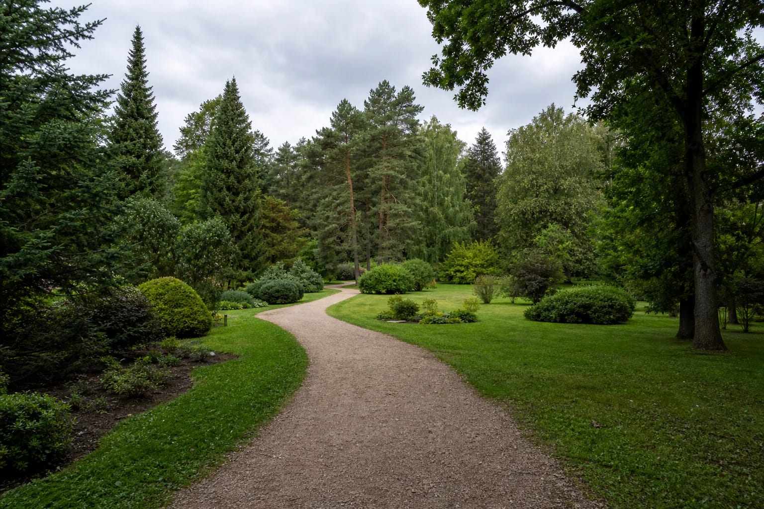 A gravel path through Dubrava Arboretum between conifers, deciduous trees, and open planting collections