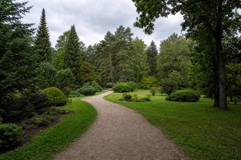 Žvyrkelis Dubravos arboretume tarp spygliuočių, lapuočių ir atvirų augalų kolekcijų