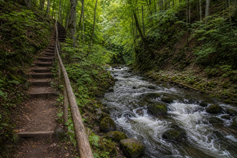 Dūkšta Nature Trail with a stony stream, wooden stairs, and steep wooded slopes