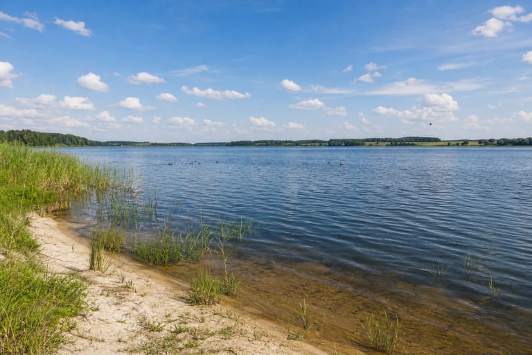Dusios ežero platus vandens horizontas su nendrynais, žemais krantais ir paukščiais Metelių regioniniame parke