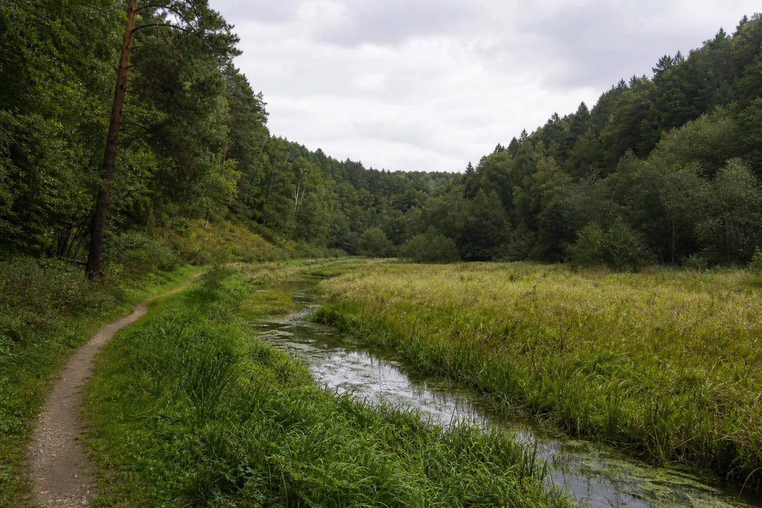 Dvarčionys glacial valley with the Dvarčionė stream, natural meadow, and wooded slopes