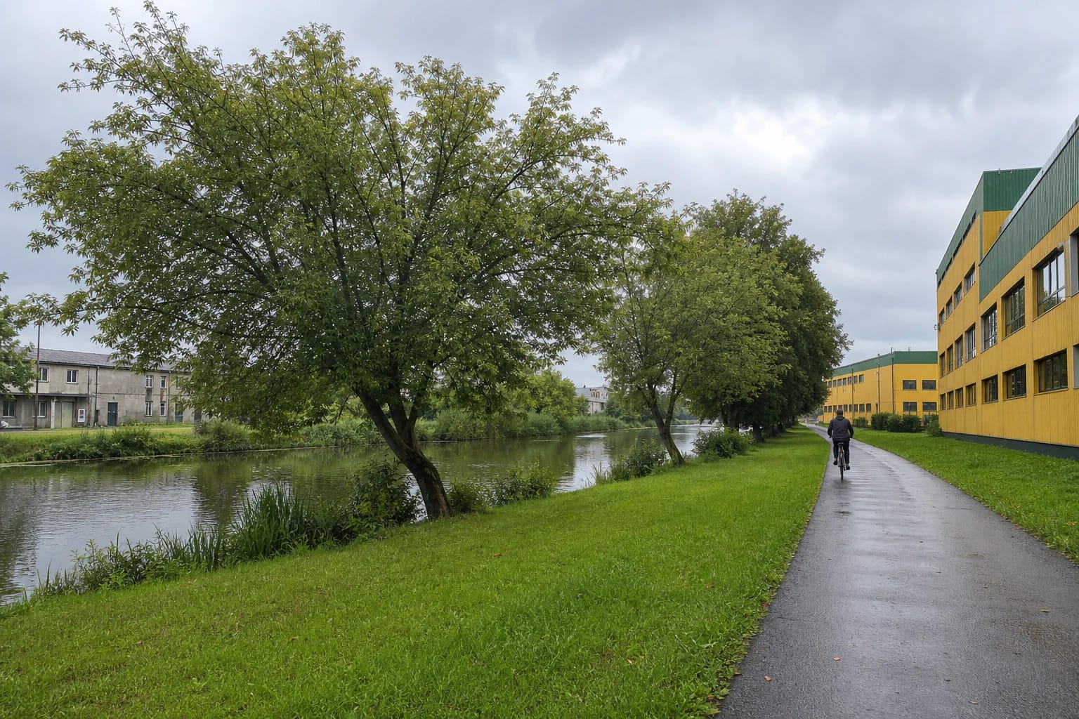 Asfaltuotas dviračių ir pėsčiųjų takas palei žalią Danės upės krantą Klaipėdoje
