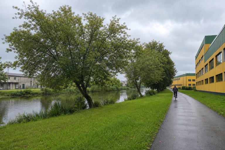 Asfaltuotas dviračių ir pėsčiųjų takas palei žalią Danės upės krantą Klaipėdoje