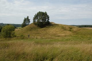 Open grass-covered Elveriškė Hillfort with a cluster of Scots pines on its western side and broad fields around it