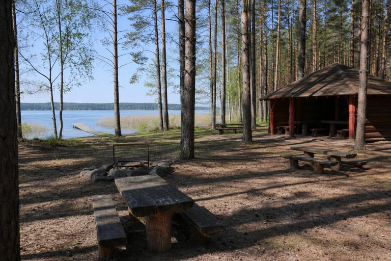 Gaveikėnai Campsite's dark timber shelter, tables, fire pit, and straight pier in pine woodland beside Lake Dringis