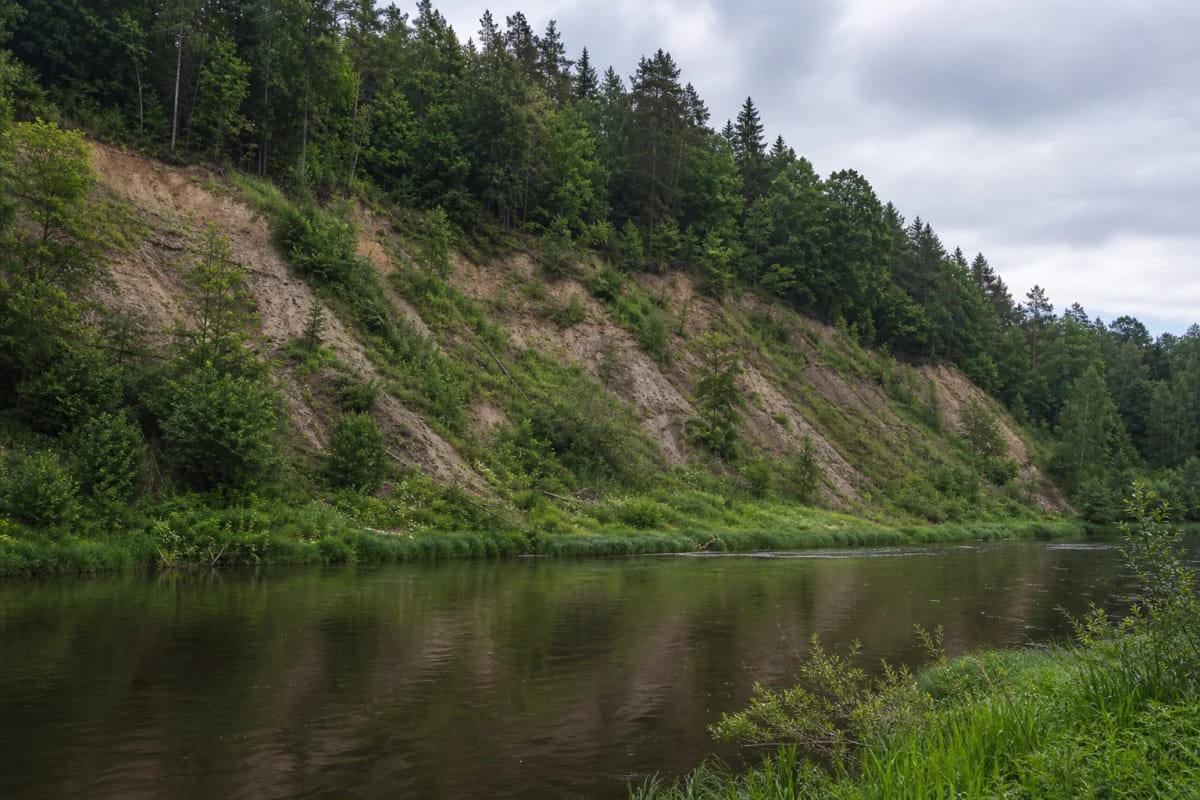 Forested Geniai Outcrop with fresh landslide scars above a bend in the Jūra River