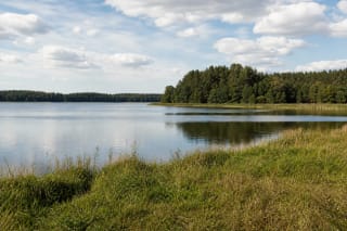 Спокойная вода озера Германтас, травянистый берег и лесистый полуостров
