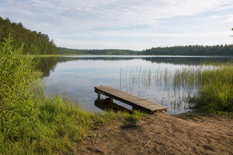 Calm water of Lake Glėbas, a reed-fringed shore, wooden pier, and low forested bank